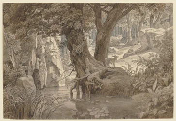 Waldlandschaft