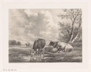 Zwei Kühe und ein Schaf am Wasser