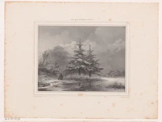 Winterlandschaft mit zwei Kiefern