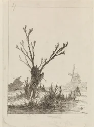 Schlittschuhläufer mit Schlitten bei einer Kopfweide