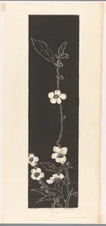 Teeblüte