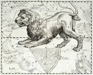 Löwe, Tierkreiszeichen des Löwen, Illustration aus Johann Hevelius