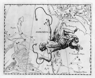 Die Konstellation Andromeda. Tafel aus „Firmamentum Sobiescanum sive Uranographia“ von Johannes Hevelius (1611-1687)