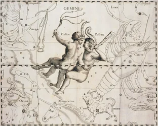Das Sternbild Zwillinge, Illustration aus Firmamentum Sobiescianum sive Uranographia, von Johann Hevelius (1611-1687), Danzig 1690