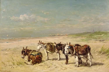 Esel am Strand
