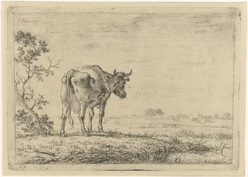 Kuh auf der Weide
