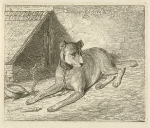 Hund an einer Kette bei einer Hundehütte