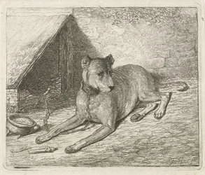 Hund an einer Kette bei einer Hundehütte