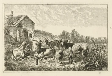 Vier Ziegen und ein Schaf bei einem Haus