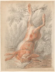 Toter Hase, an einem Bein hängend