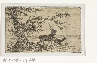 Zwei Hirsche unter einem Baum