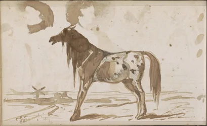 Flache Landschaft mit einem Pferd