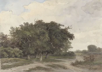 Landschaft mit Bäumen