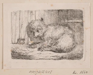 Ein langhaariger Hund