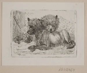 Zwei liegende Hunde