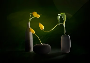 Grün-Gelbe Blumenvasen