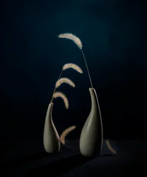 Stimmungsvolle Botanische Vasen