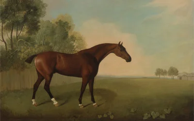Ein braunes Pferd auf einer Wiese, 1778