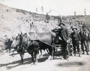 Goldrausch in South Dakota