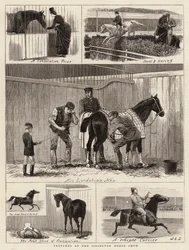 Skizzen auf der Islington Pferdeschau