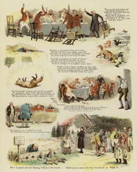 Der Fuchs von One Tree Hill