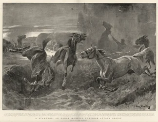 Eine Stampede, ein frühmorgendlicher Überraschungsangriff vereitelt