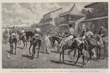 Ascot-Rennen, Pferde passieren die königliche Loge auf dem Weg zum Startpunkt