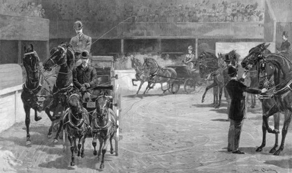 Paare, unter 15 Hände, 1891