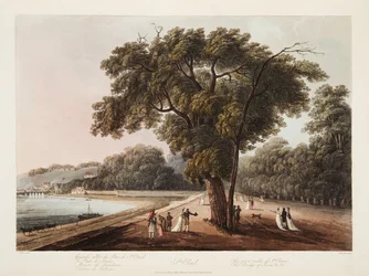 St Cloud, Der Große Spaziergang von St Cloud, Die Brücke von Sevres, etc., Illustration aus Versailles, Paris und Saint Denis, veröffentlicht 1805