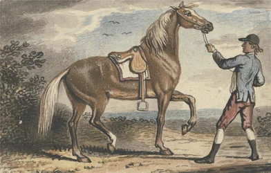 Stalljunge hält ein Pferd in einer Landschaft
