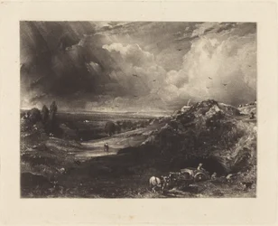 Eine Heidelandschaft