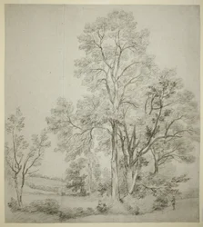 Eine Gruppe von Ulmen (recto); Eine Studie von East Bergholt mit der Kirche (verso)