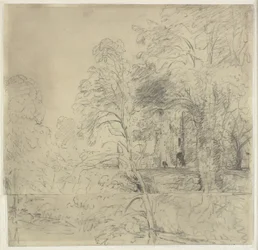 Cowdray Castle, zwischen Bäumen gesehen
