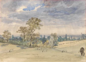 Landschaft in Suffolk