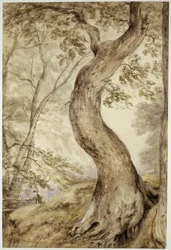 Baum in Helmingham, ca. 1800