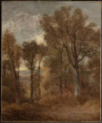 Waldszene mit Blick auf Dedham Vale
