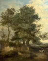 Bäume an einem Bach