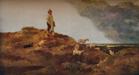 Ansicht auf Mousehold Heath, in der Nähe von Norwich