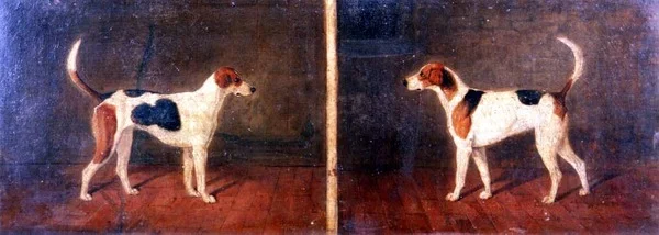Zwei Foxhounds im Innenraum