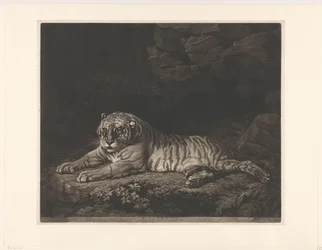 Tigerin