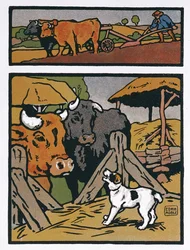 Illustration für Der Hund und die Kuh, aus 