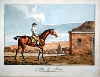 Otho von Moses