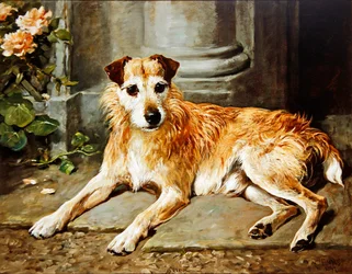 Scharf