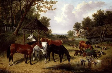 Pferde an einem Bauernhofteich