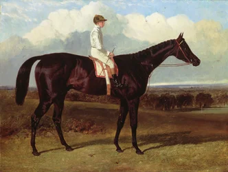 Jonathan Wild, ein dunkelbraunes Rennpferd, in Goodwood, T. Ryder auf, 1846