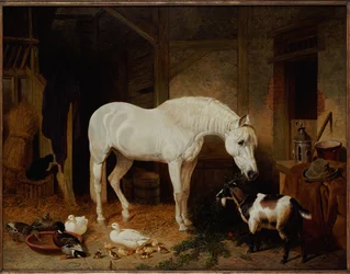 Stallgefährten