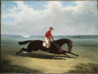 Der Baron mit Bumpy Up, in Newmarket