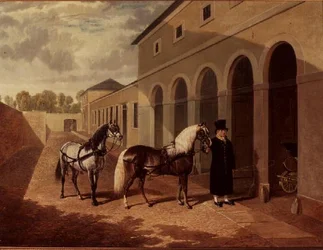 Die Ponys der Herzogin
