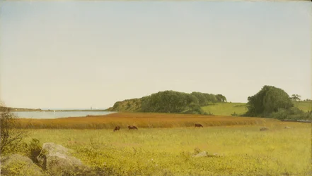 Almys Teich, Newport
