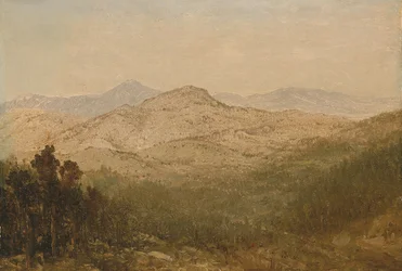 Berge in Colorado